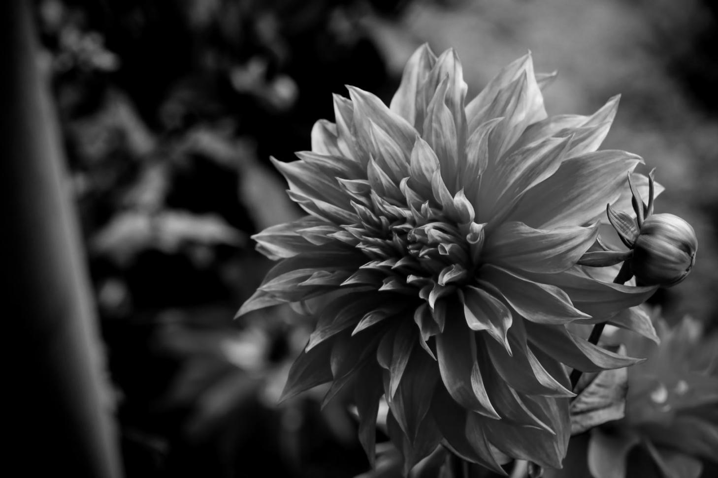 Студенти створюють весняні флористичні композиції